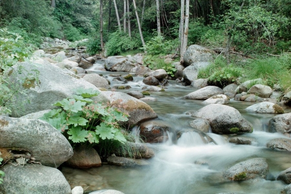 Creation of Autumn Along the Creek: Step 1